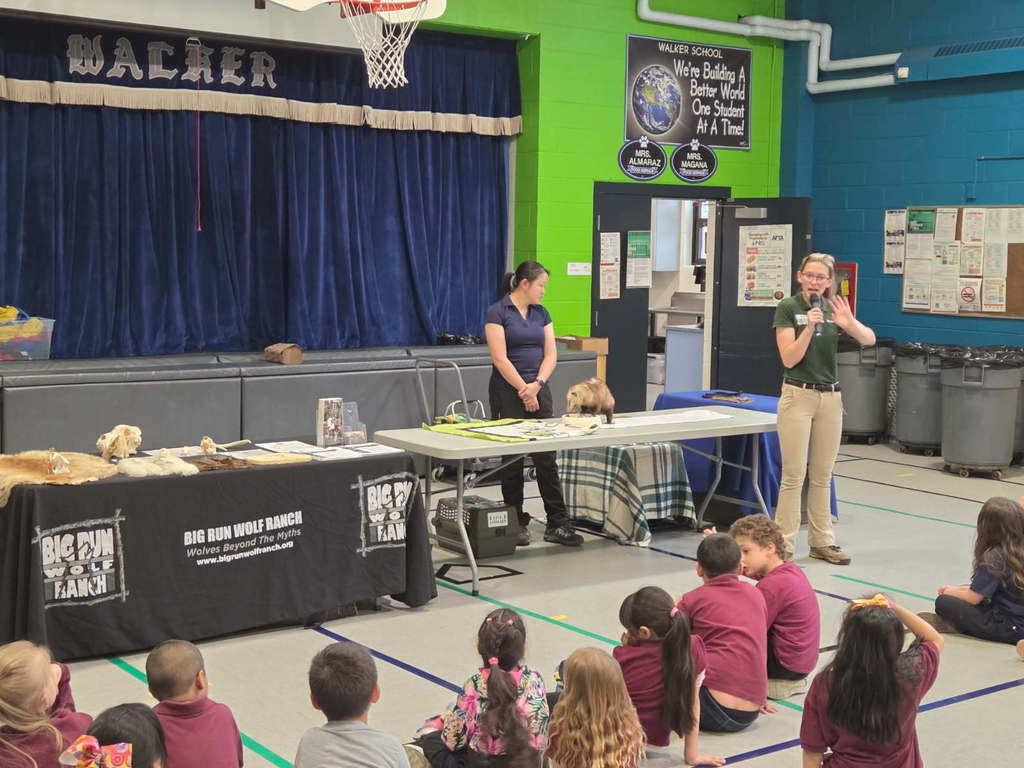 Two presenters stand beside a table with animal artifacts in a school gym, addressing seated children. A banner reads "Big Run Wolf Ranch."