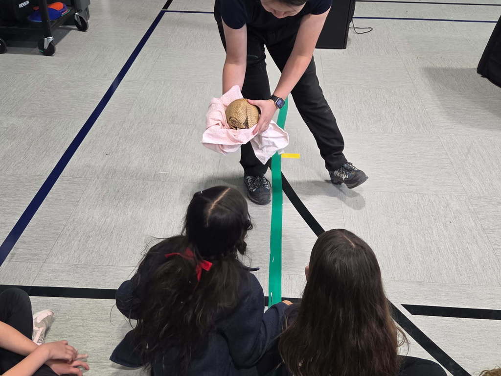 A person shows a small armadillo wrapped in a pink cloth to two seated children on a gym floor. The atmosphere is curious and educational.