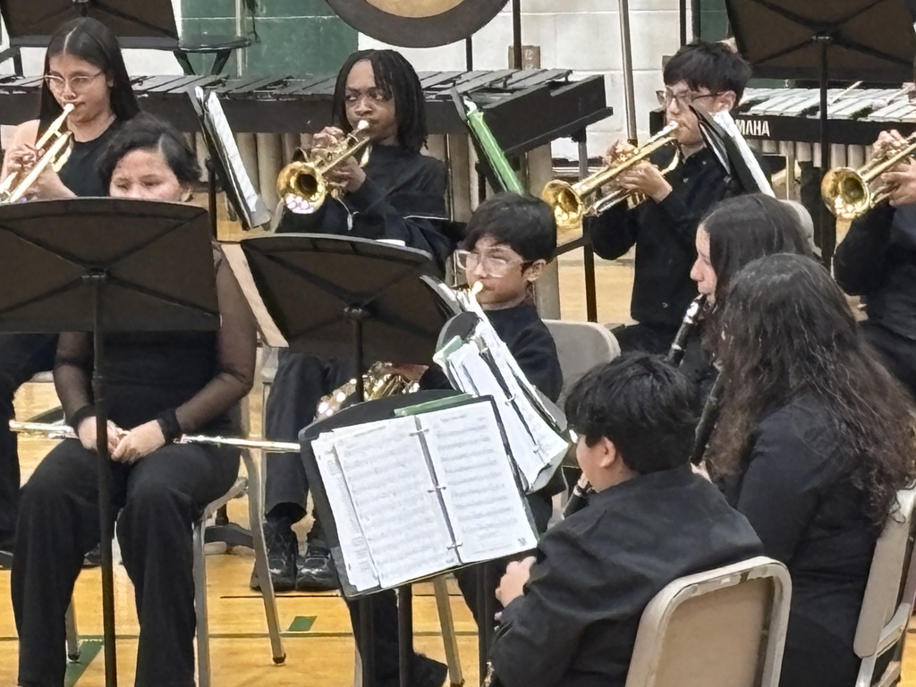 A group of young musicians in black attire plays brass instruments and reads sheet music on stands in a band setting. The mood is focused and formal.