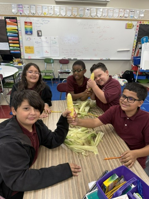 Five students smile and work together in a classroom, holding ears of corn over a table covered with husks, conveying teamwork and joy.