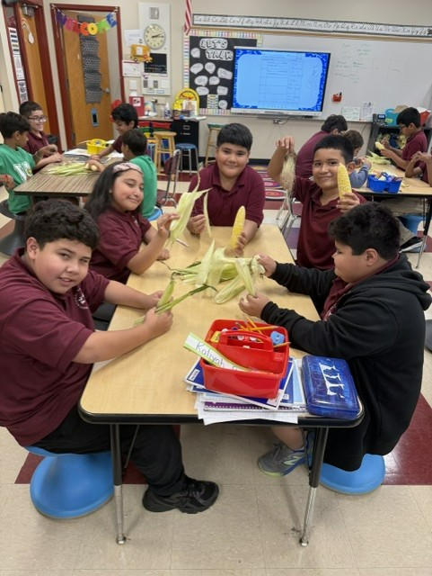 Students smile and work together around a classroom table, peeling ears of corn during a hands-on group activity.