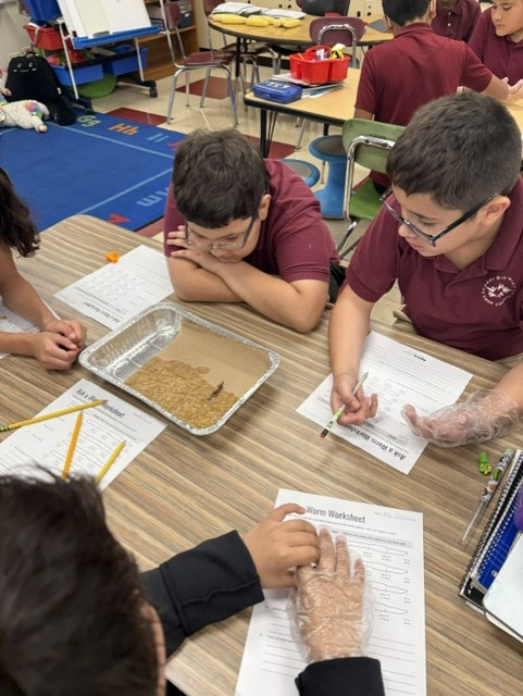 Students collaborate in a classroom, completing worksheets and examining grains in trays; some wear clear gloves during the hands-on activity.