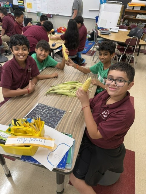 Cheerful students gather around a classroom table, holding ears of corn and husks during a hands-on science activity with classmates.
