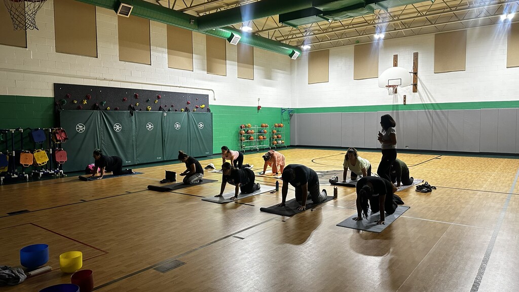 People and dogs practice agility exercises on mats in a bright indoor gym, creating a focused yet playful group-training atmosphere.