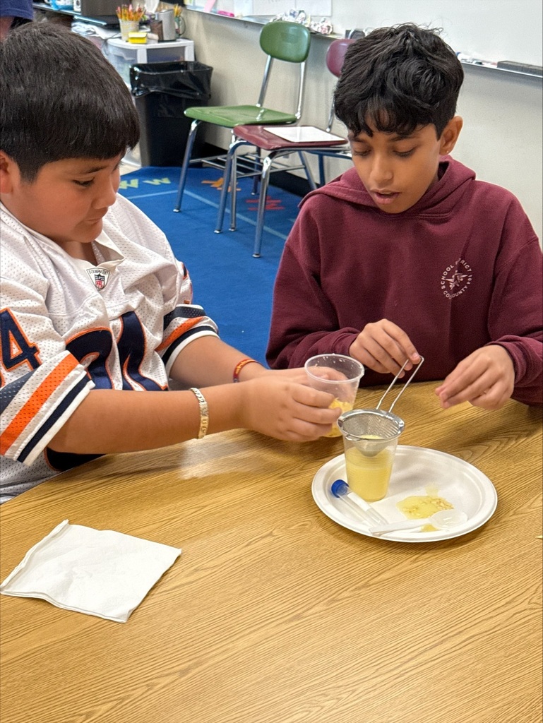 Two students carefully strain yellow liquid into a cup over a plate during a classroom science activity, focused and curious.