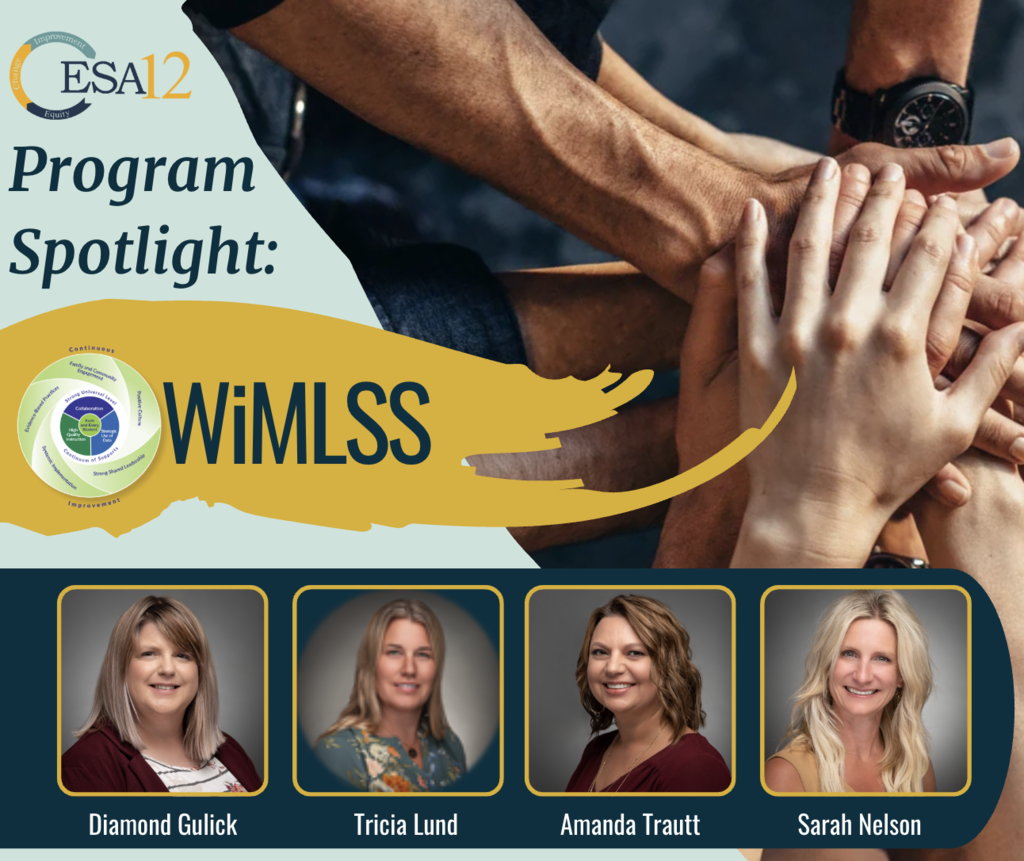 wimlss flyer