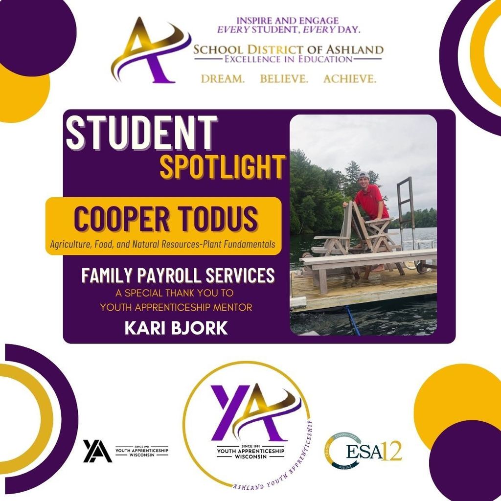 Cooper todus and family payroll services