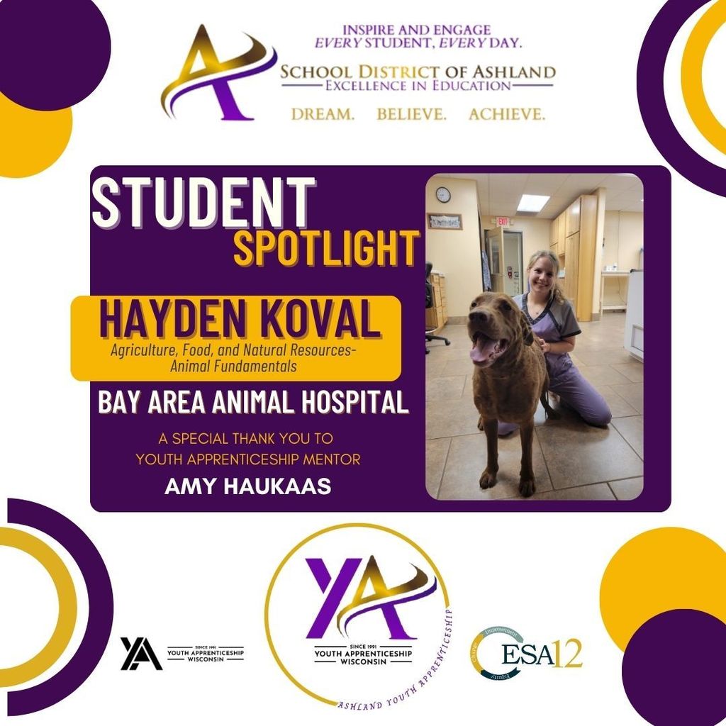 hayden koval and bay area animal hospital