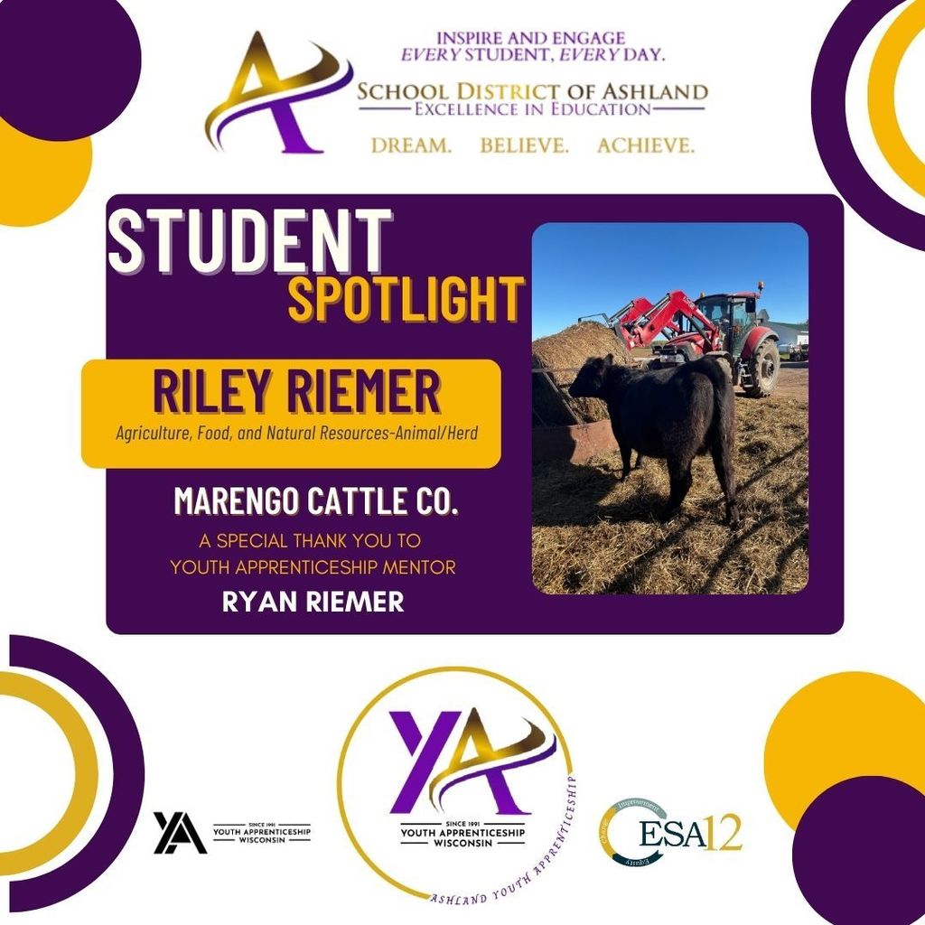 riley riemer and marengo cattle co.
