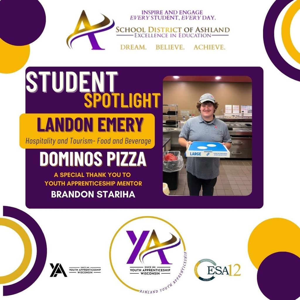 landon emery and dominos pizza