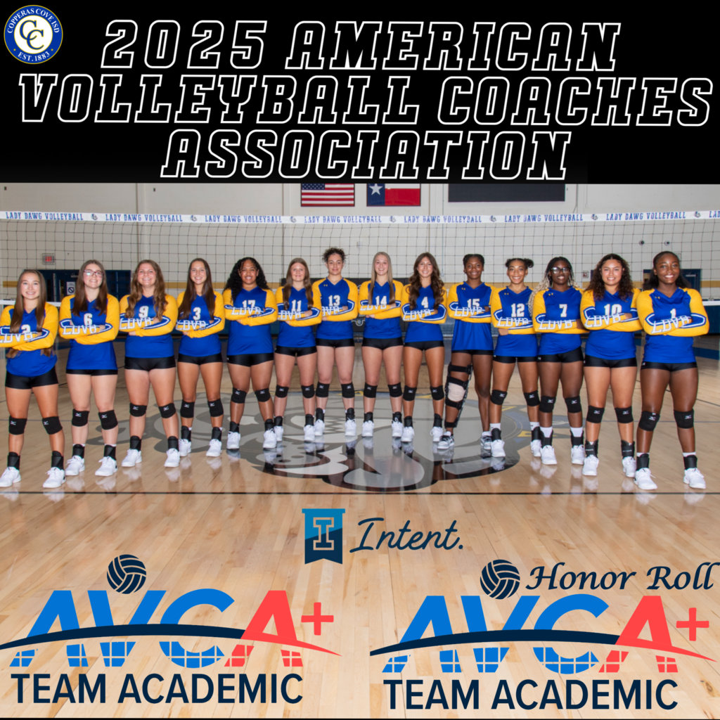 2025 american volleyball socahes association team academic awards