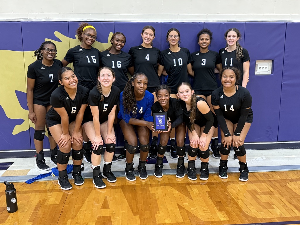 volleyball team 