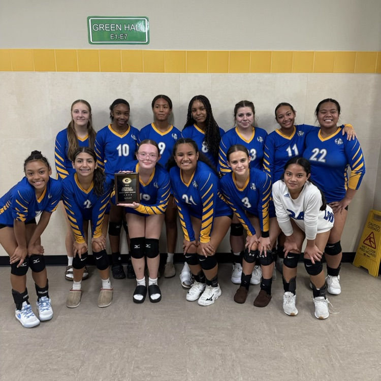 volleyball team 