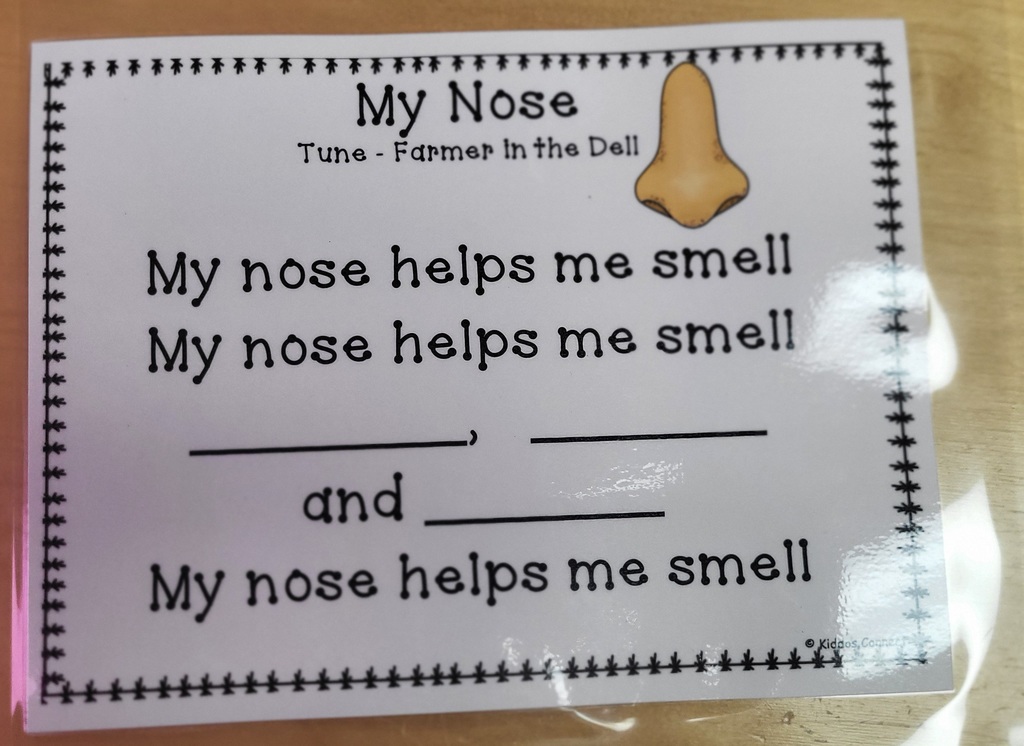 Sensory lesson