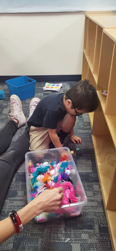 Sensory lesson