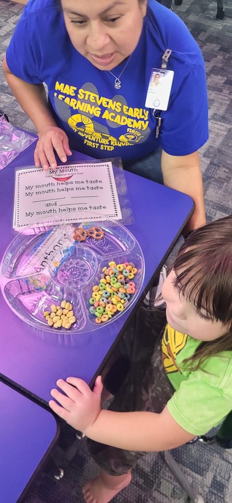 Sensory lesson