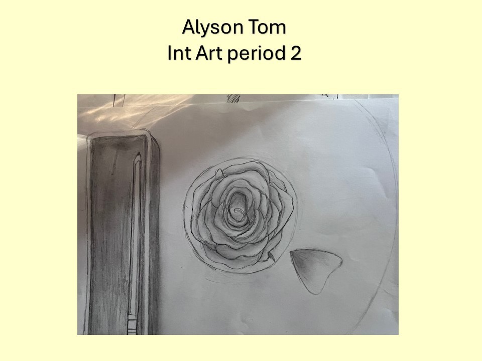 drawing of rose in a glass