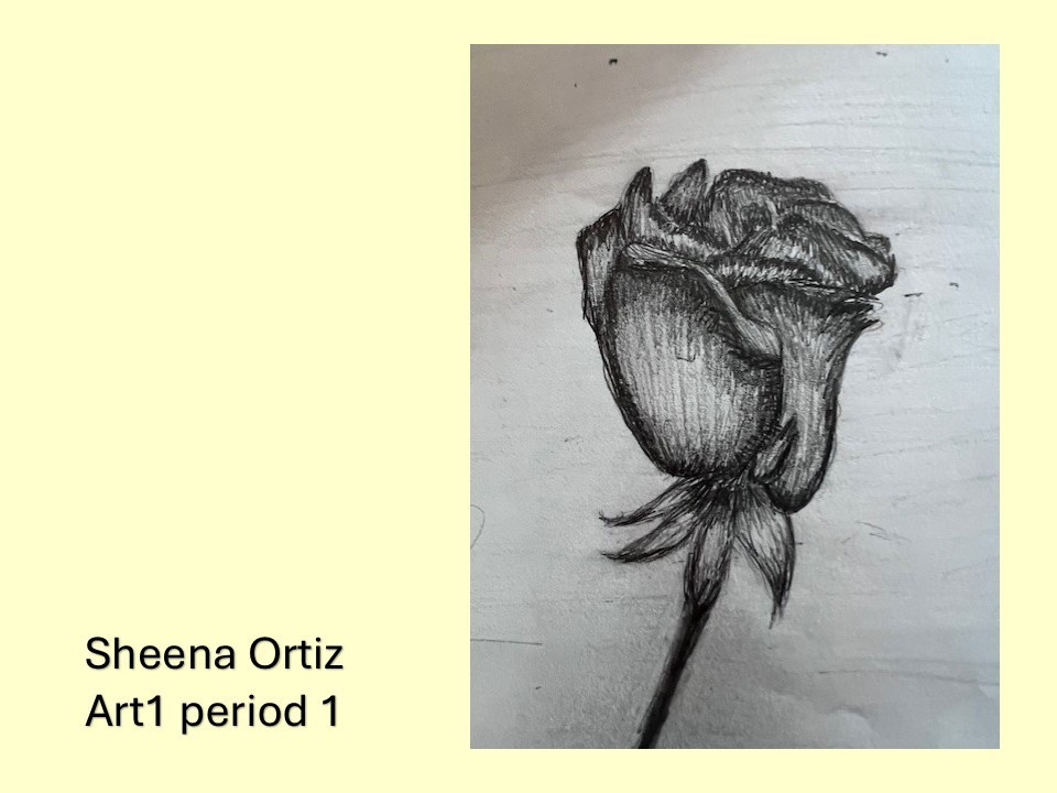 drawing of rose in a glass