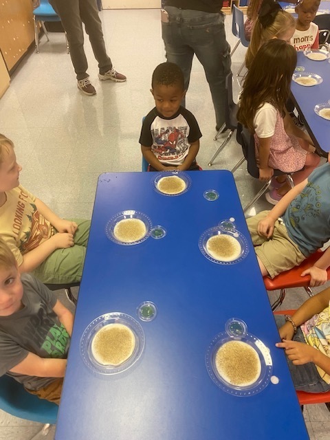 Handwashing experiment