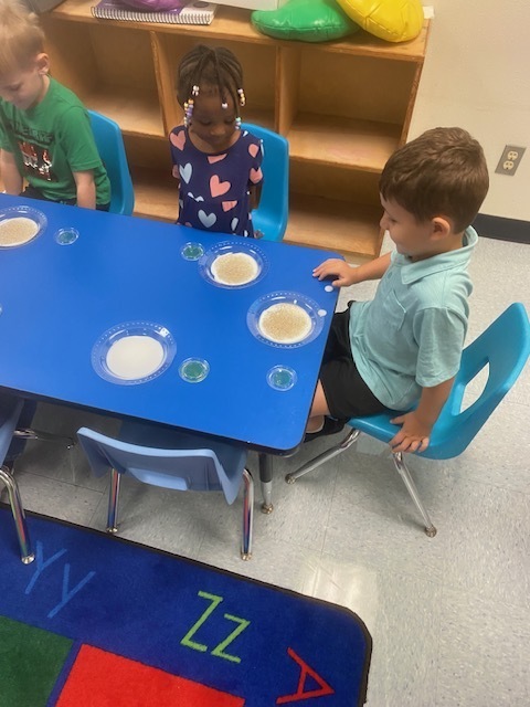 Handwashing experiment