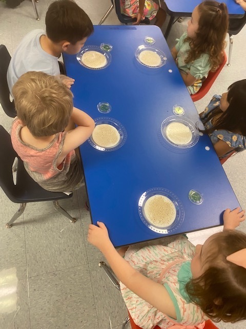 Handwashing experiment