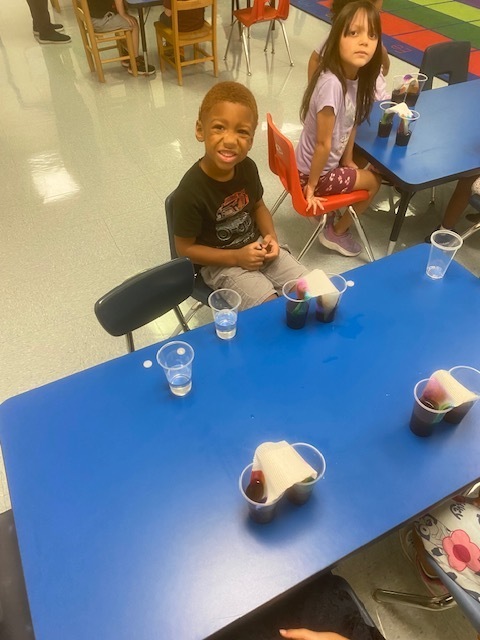 Science experiment
