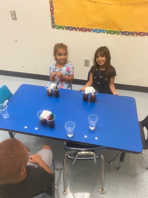Science experiment