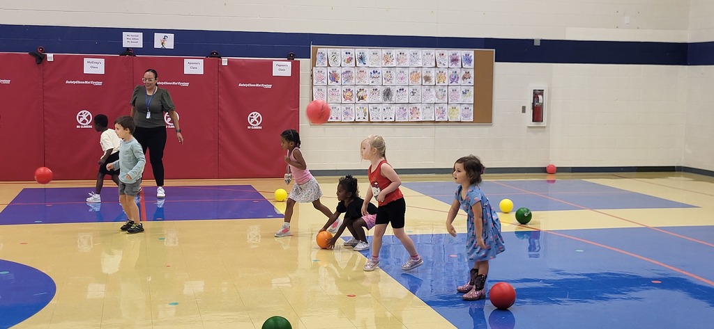 Fitness Ball