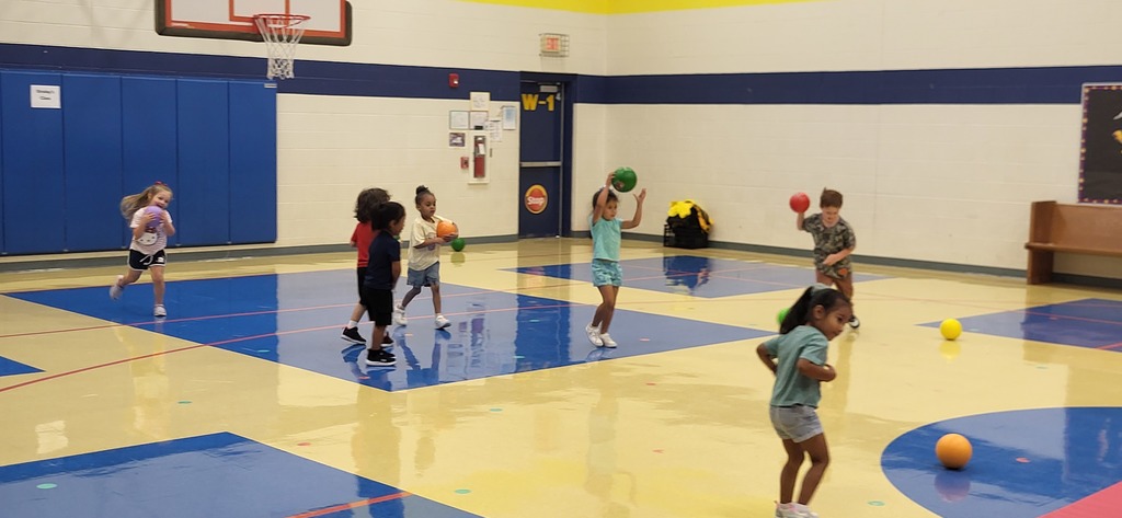 Fitness Ball