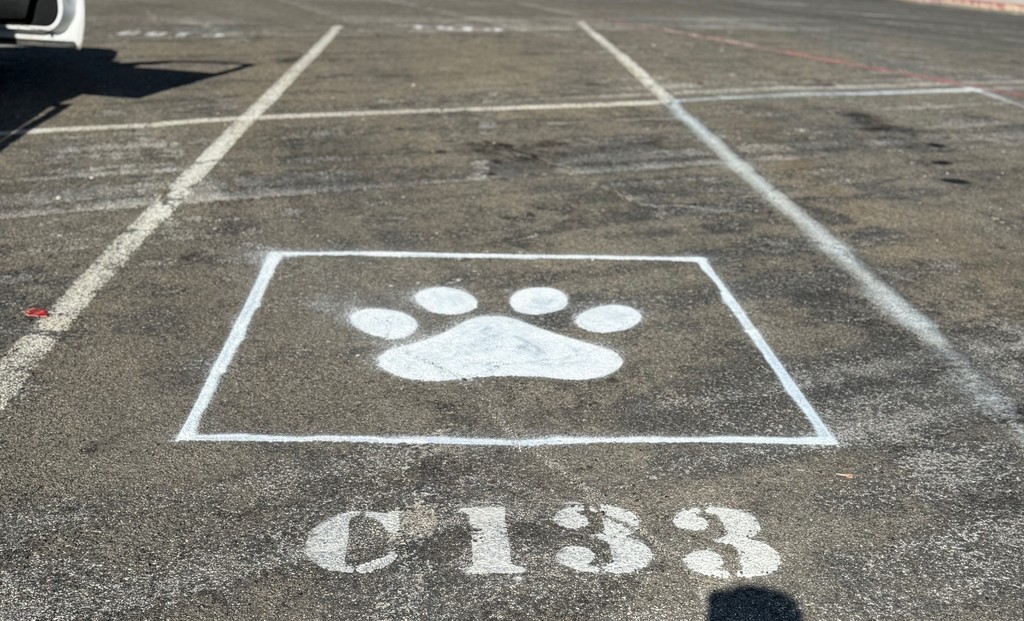 Picture of a painted parking space. Text in body of post.