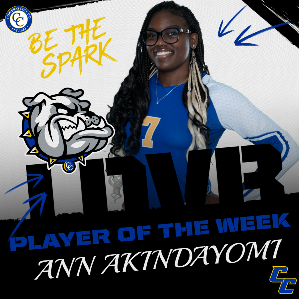 ldvb player of the week  ann akindayomi