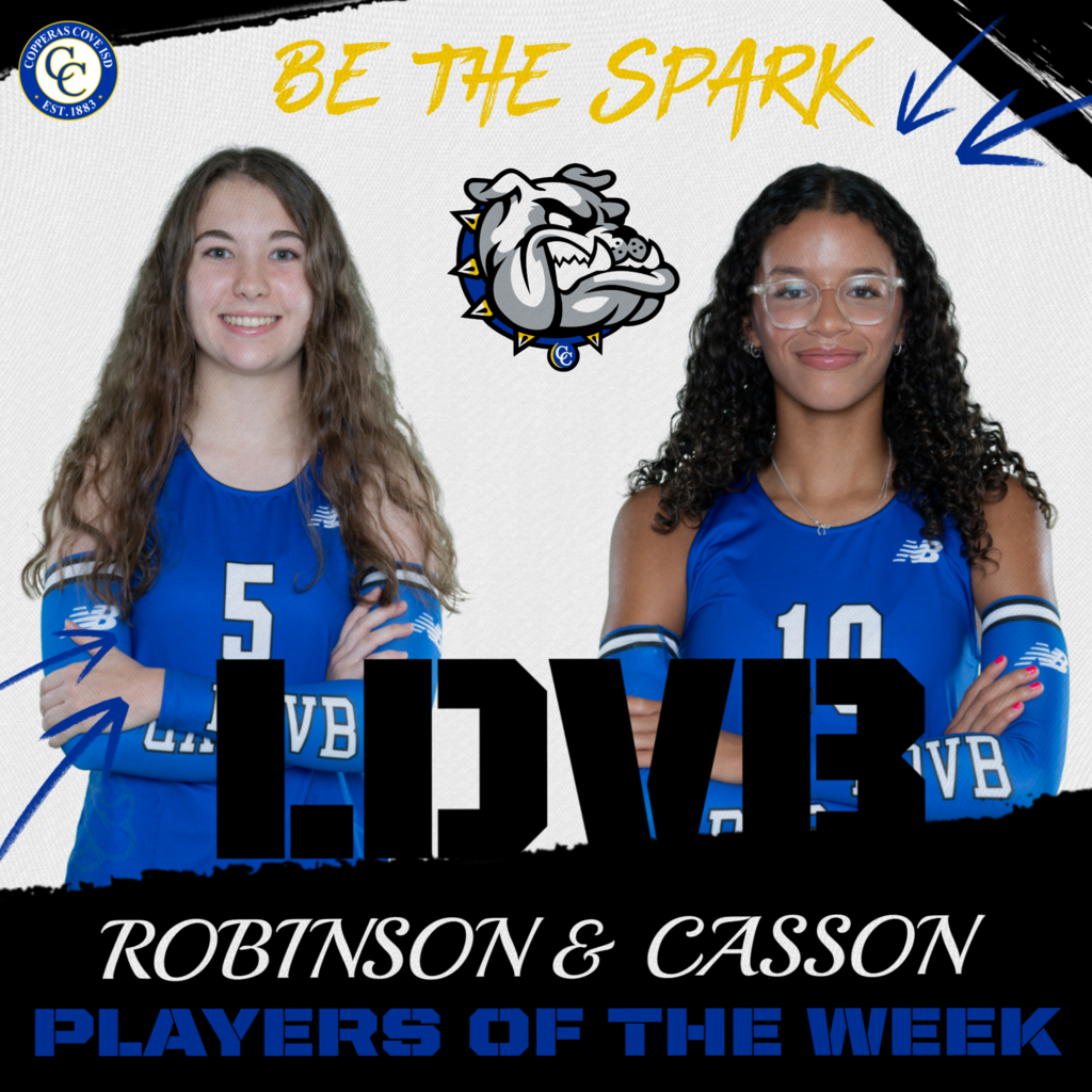 be the spark ldvb players of the week robinson and casson