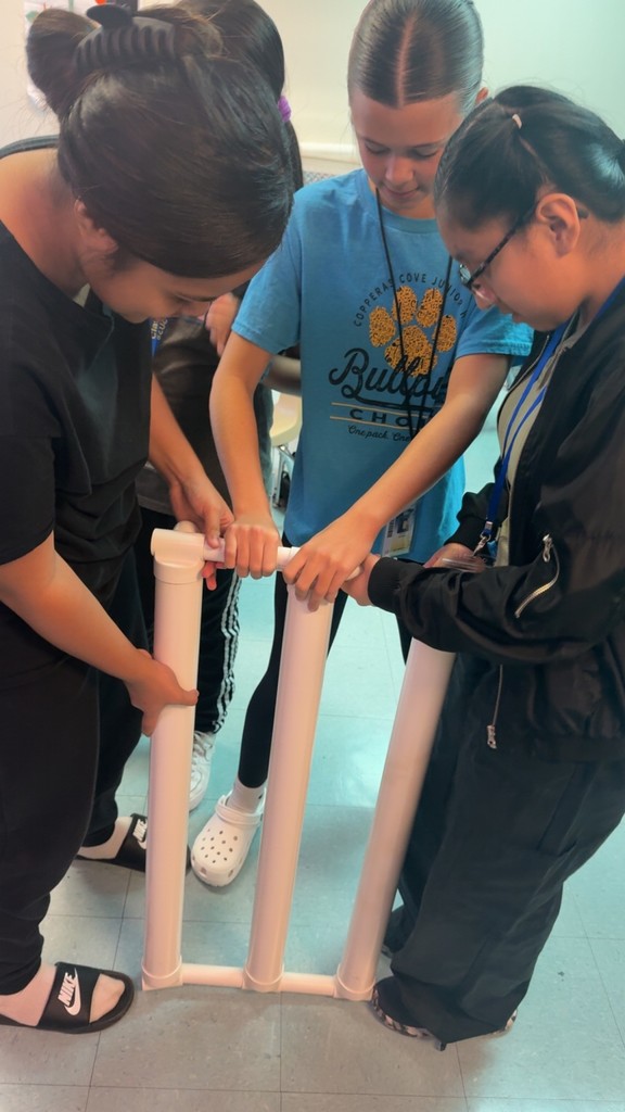 Students building the hydroponic system.