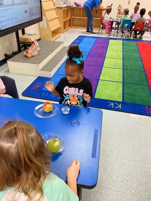 Apple Volcanco Science Project