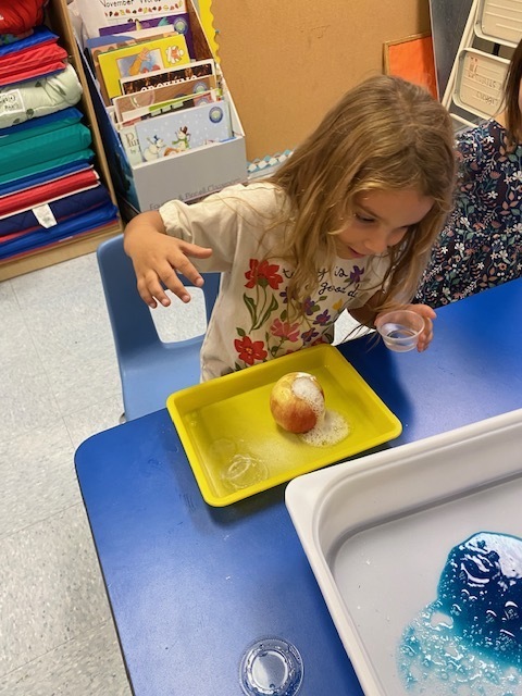 Apple Volcanco Science Project