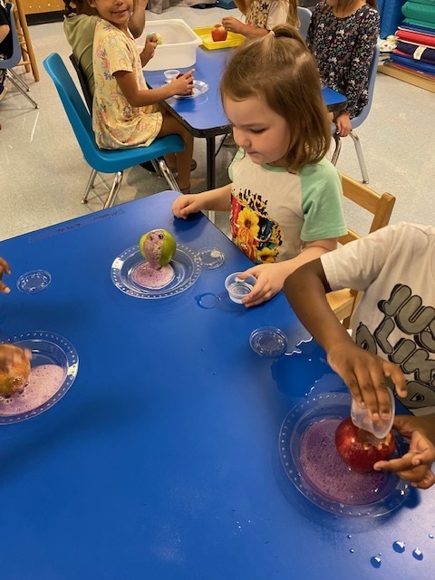 Apple Volcanco Science Project