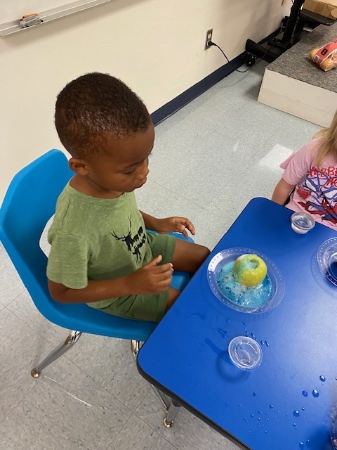 Apple Volcanco Science Project