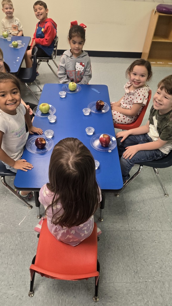 Apple Volcanco Science Project