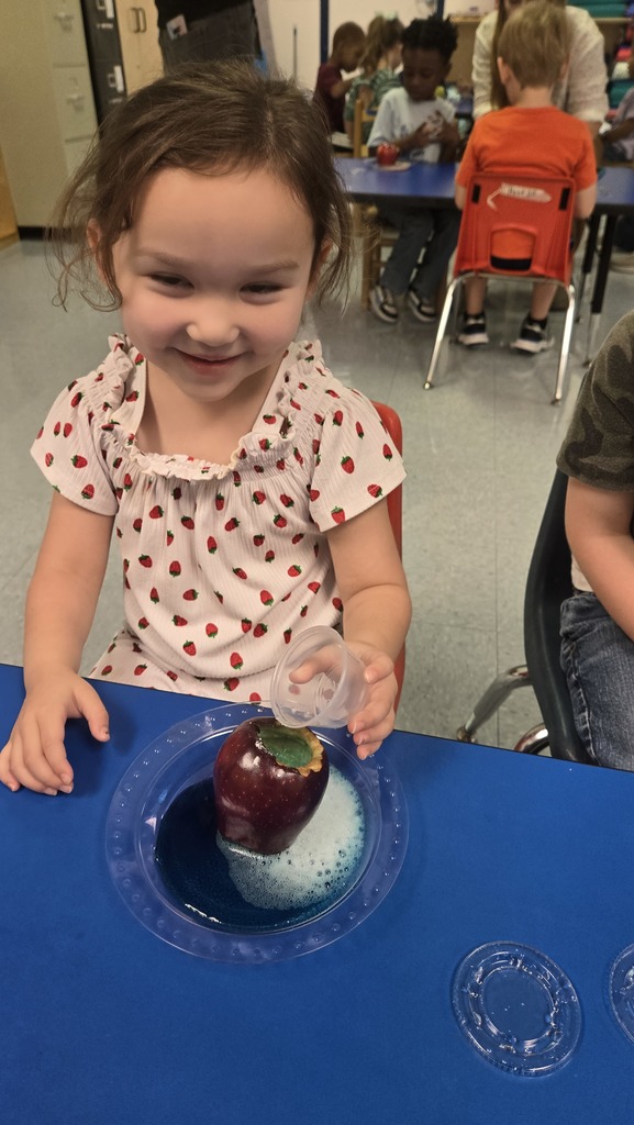 Apple Volcanco Science Project