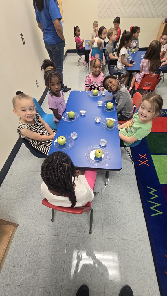 Apple Volcanco Science Project