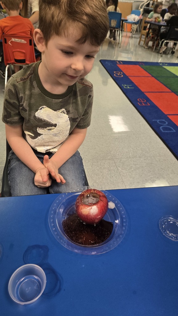 Apple Volcanco Science Project