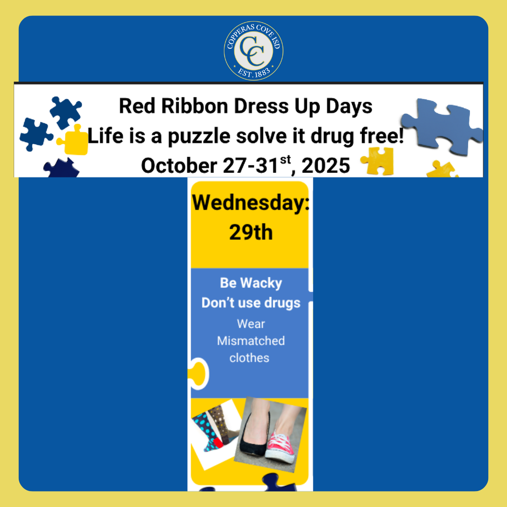 Poster with CCISD Logo