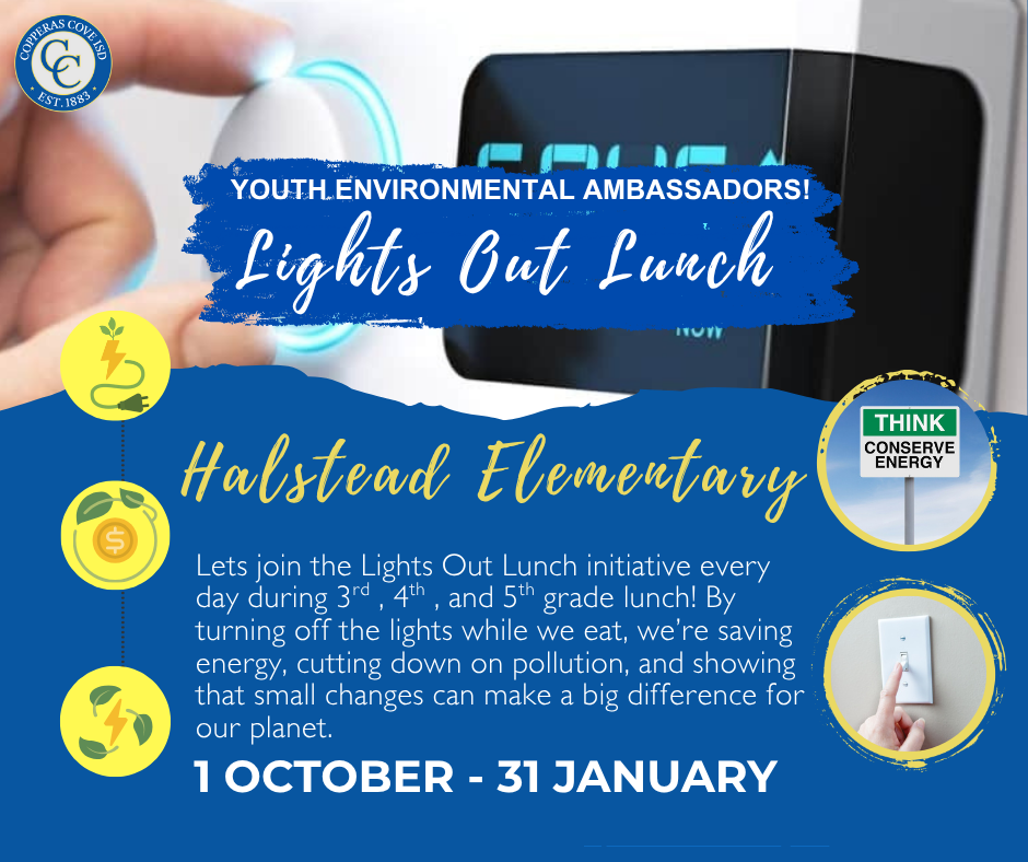 Lights Out Lunch flyer with CCISD logo details in caption