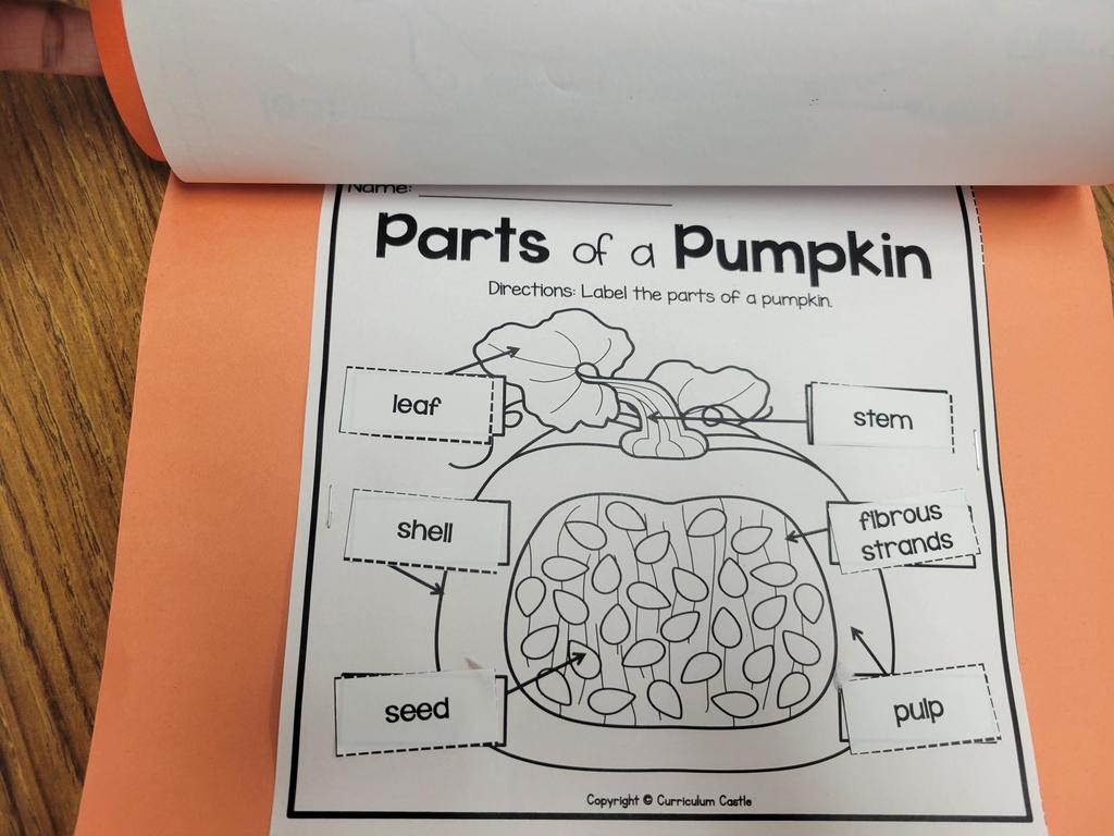 Pumpkin parts lesson