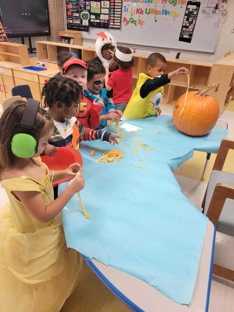 Pumpkin parts lesson