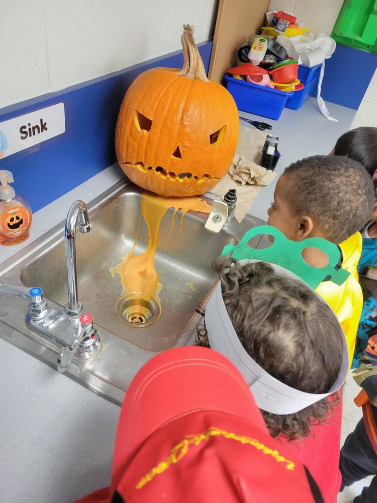 Pumpkin parts lesson