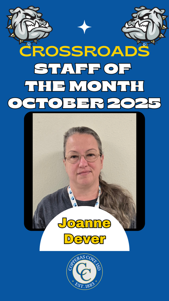 Picture with ccisd logo