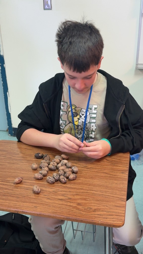 Shelling Pecans- details in the post