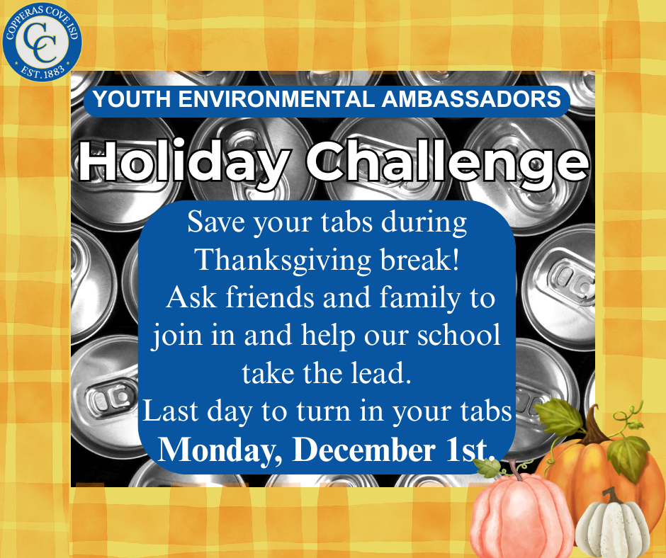 Y.E.A. holiday challenge flyer with C.C.I.S.D. logo details in caption