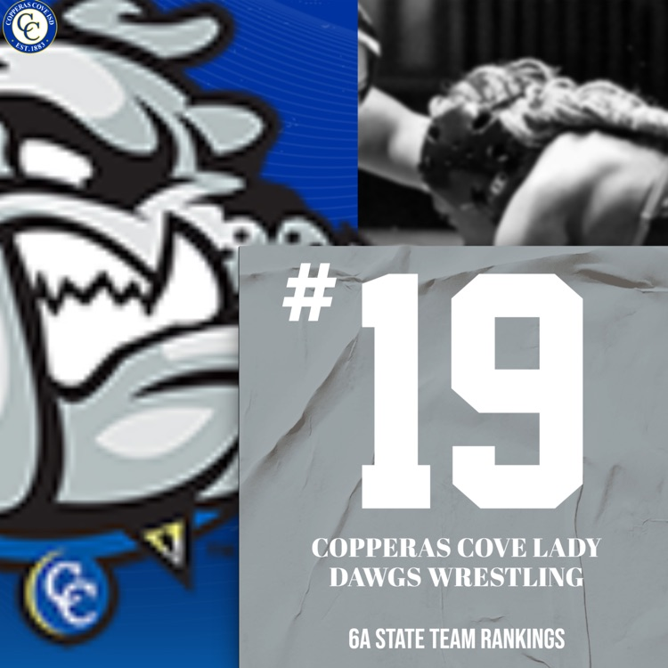 girls wrestling team ranked 19 in state